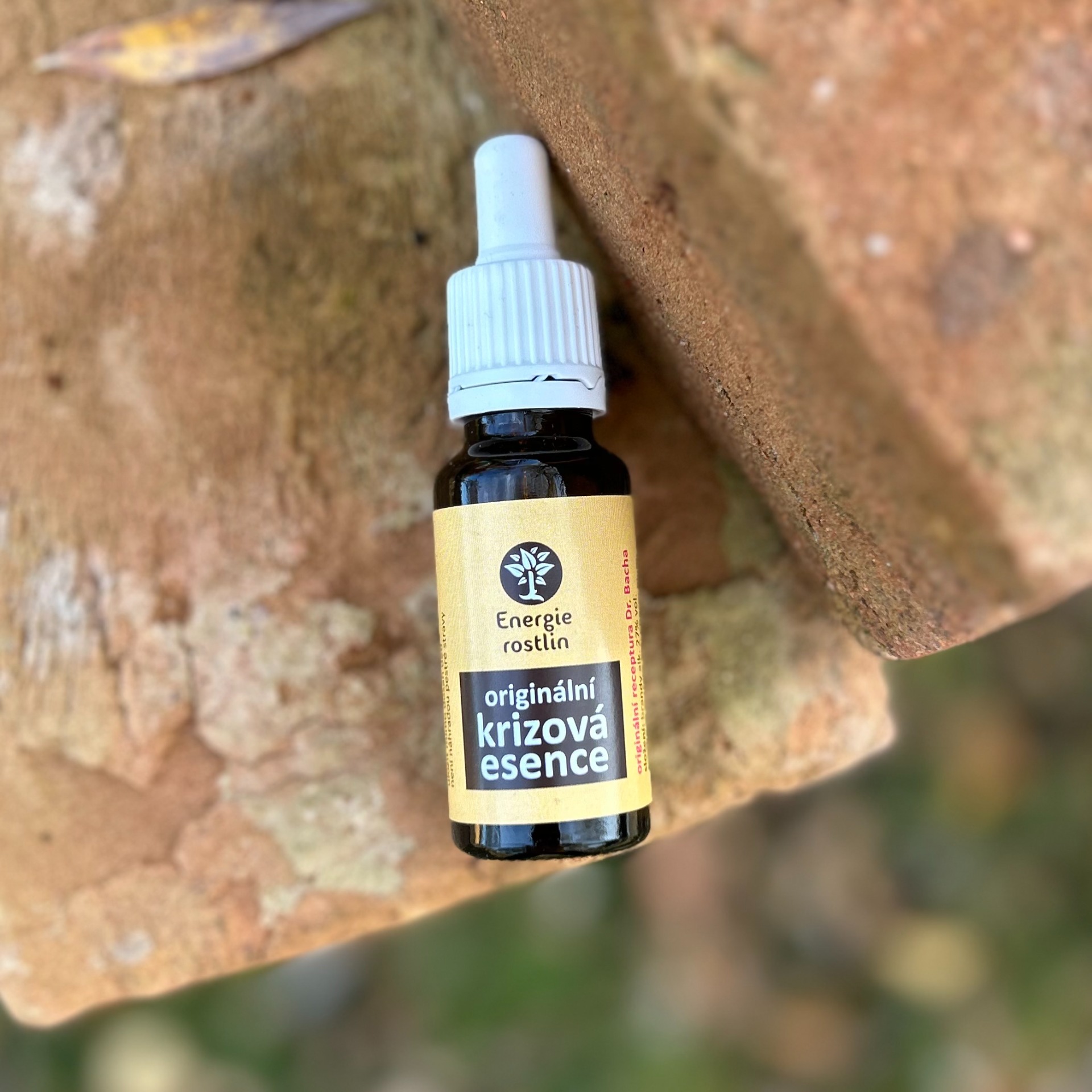 krizová esence
